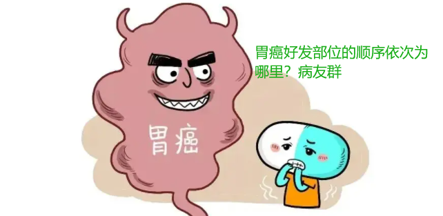 胃癌好发部位的顺序依次为哪里？病友群